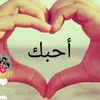 user282461992952