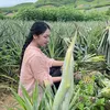 Cơm Nhà Bếp Xưa