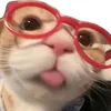 maychaydason