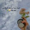 user845139092528