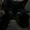 hello_kitty2000