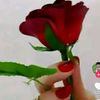 nana.sumaiya