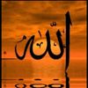 user3173750812942