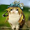 themeowlwhoknocks