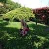 rossella.sartori