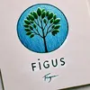 figus_0