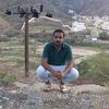 user4120194601193