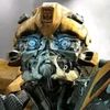 bumblebee_039