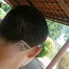 levyamorim17