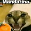 team_mandarina9