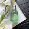 diaeeddine.zara6