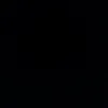 natan_slva