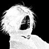 vyro.r6