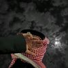 y16_liq6