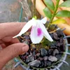 anhnongdan_2904