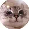pvdd_duu