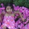 aliwa11y