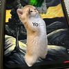 pablodell07