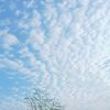 ags_1_2025