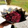 user9497298711461