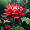 tuyen.phan684