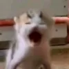wufanruyu