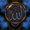 user4337280543252