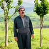 surchiy010