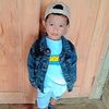 alvino_12395