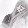 1r0n_1vy
