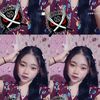 xydy17