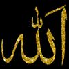 user2552562340677
