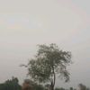 mishaal883
