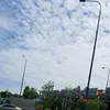 khanh.thi048