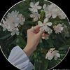 user7784126361996