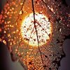 shyan.ali08