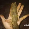 iaquenruaditzzz