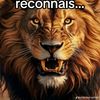 lelion816