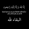 hayatlife08