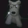 agendacorse