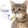 staaar_catt