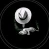 user5372639073
