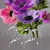 salehbasam8