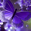kaira_897