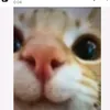 iamalwaysright14
