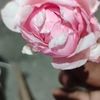 user9106970219099
