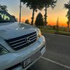 to1lonov099