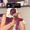 .aliskavq_