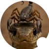Scorpion 🦂