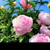 fudtidj740